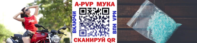 даркнет сайт  ссылка на мегу как войти  Alpha PVP СК  Санкт-Петербург 
