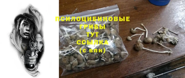 гашиш Осинники