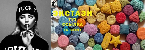 ECSTASY Бородино