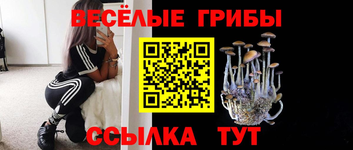 Галлюциногенные грибы мицелий Санкт-Петербург