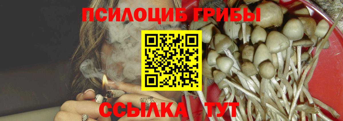 Санкт-Петербург  Галлюциногенные грибы GOLDEN TEACHER  купить наркоту  Вход с VPN 
