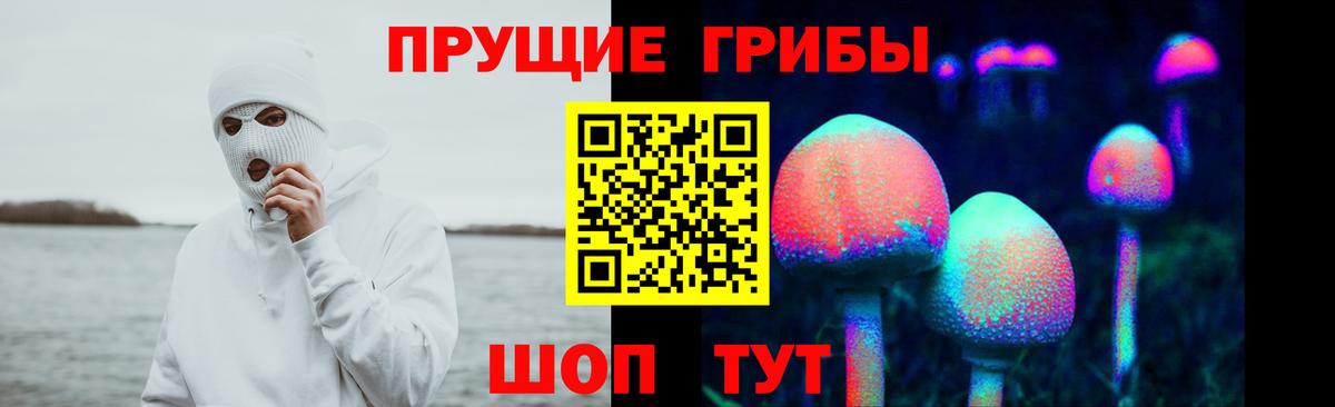 Псилоцибиновые грибы MAGIC MUSHROOMS Санкт-Петербург